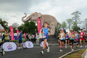 BIB: 
                            <button type="button" onclick="openModal(26528285)" class="btn btn-primary btn-sm float-right btn-popup" data-toggle="modal" data-target=".modal-high-quality">
                        <i class="fas fa-shopping-cart"></i> Add to Cart
                    </button>
                                            <button type="button" onclick="isThisMe(26528285, true)" class="btn btn-success btn-sm float-right btn-popup btn-isme hidden" data-toggle="tooltip" data-placement="bottom" title="นี่คือรูปของคุณใช่ไหม คลิกที่นี่เพื่อเอาเข้าอัลบั้ม">
                        <i class="fas fa-plus"></i> Add to album
                    </button>
                    <button type="button" onclick="isThisMe(26528285, false)" class="btn btn-warning btn-sm float-right btn-popup btn-isnotme hidden">
                        <i class="fas fa-ban"></i> Remove from album
                    </button>